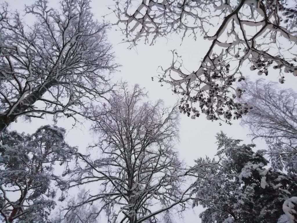 Punkaharju, sotto le nevi della Finlandia